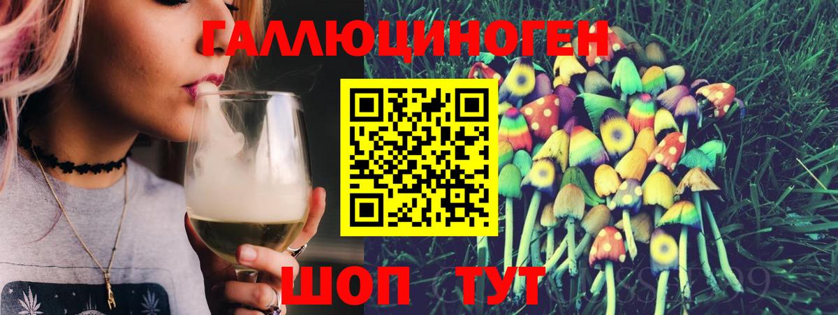 Псилоцибиновые грибы Psilocybe Тюмень
